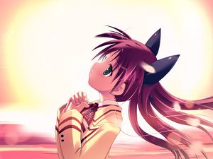 Preview wallpaper anime, girl, ears, hope, dawn, air