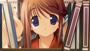 Preview wallpaper anime, girl, shelf, books, study