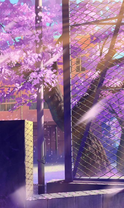 Download wallpaper 480x800 anime, school, winter street nokia x, x2, xl,  520, 620, 820, samsung galaxy star, ace, asus zenfone 4 hd background