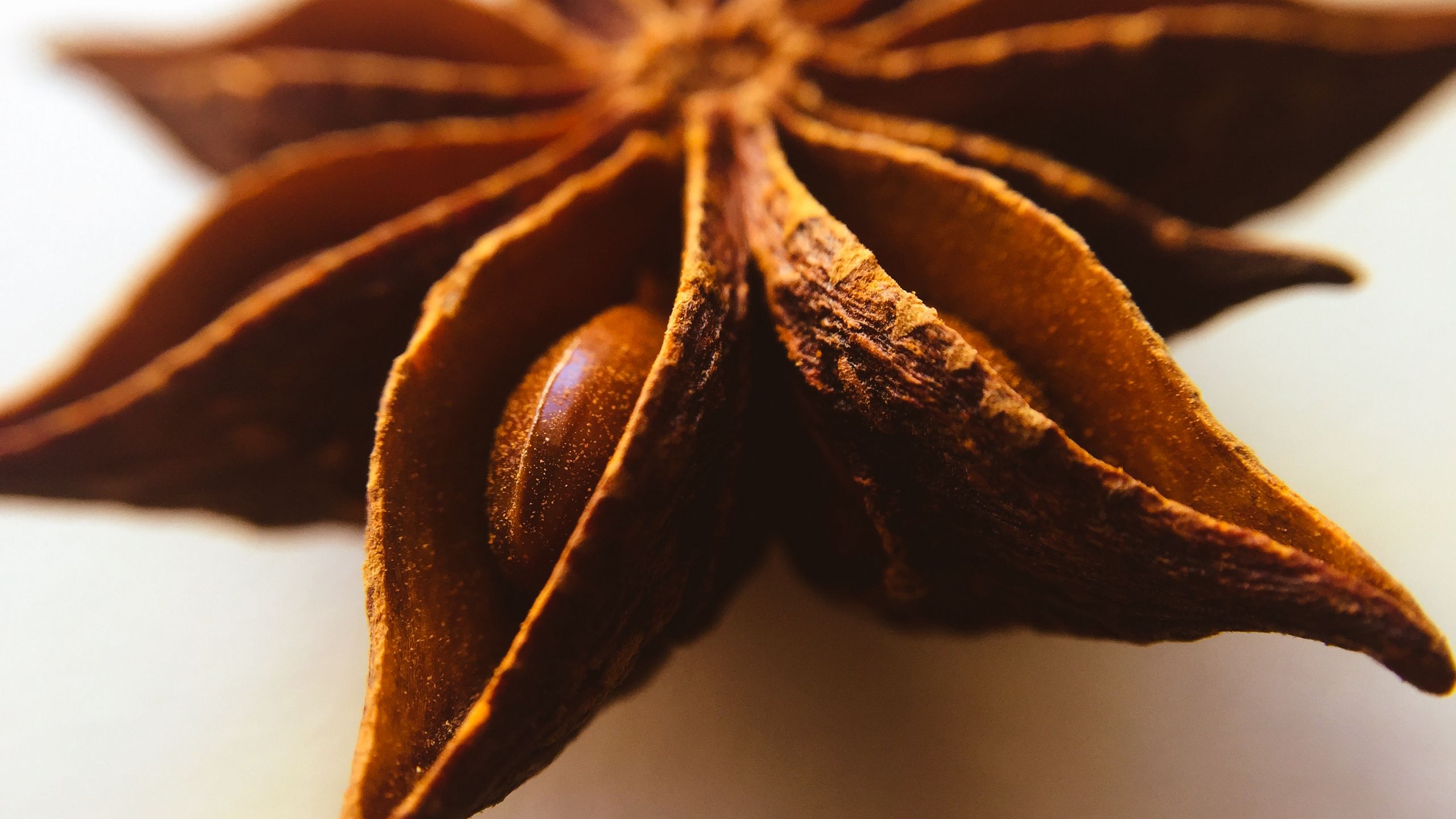 Download wallpaper 2560x1440 anise, spice, close-up widescreen 16:9 hd