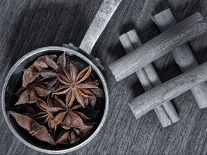 Preview wallpaper anise, spice, macro