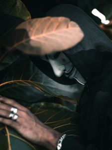Preview wallpaper anonymous, mask, hood, leaves, plant