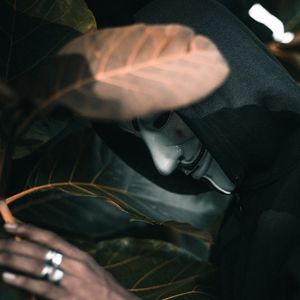 Preview wallpaper anonymous, mask, hood, leaves, plant