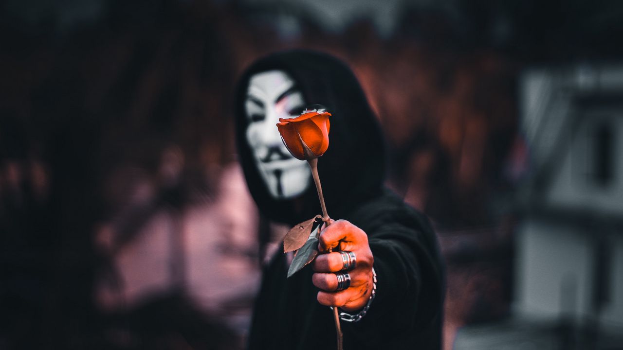 Wallpaper anonymous, rose, flower, mask, hood