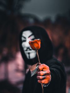 Preview wallpaper anonymous, rose, flower, mask, hood