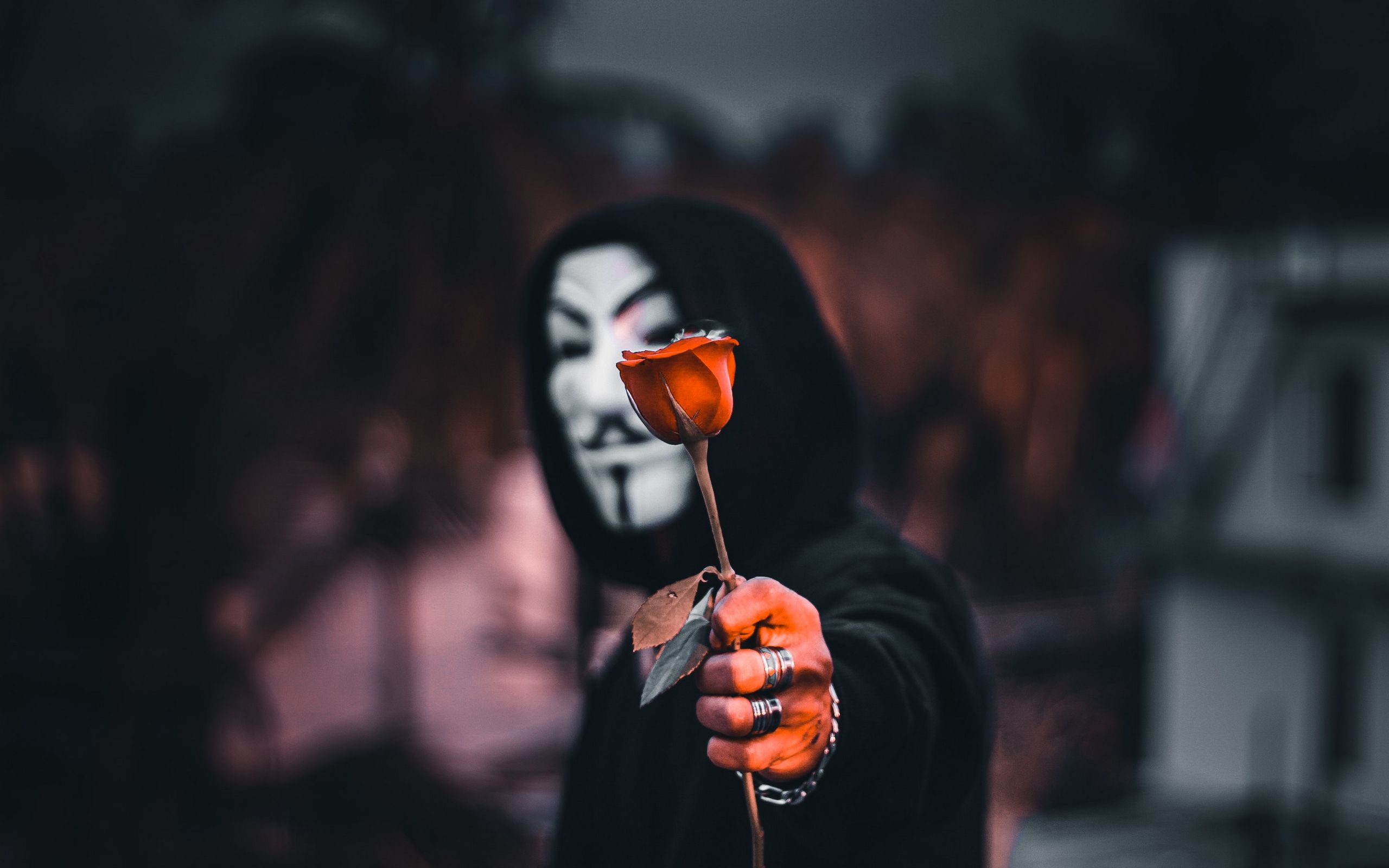 Download wallpaper 2560x1600 anonymous, rose, flower, mask, hood