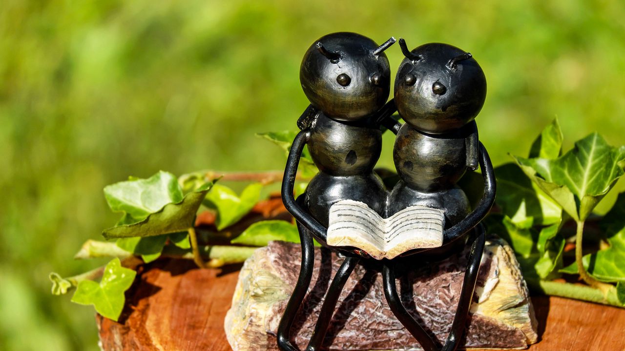 Wallpaper ants, insects, sculpture, bench, couple, book