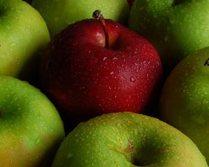 Preview wallpaper apple, apples, fruit, drops, wet, macro