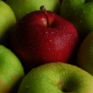 Preview wallpaper apple, apples, fruit, drops, wet, macro