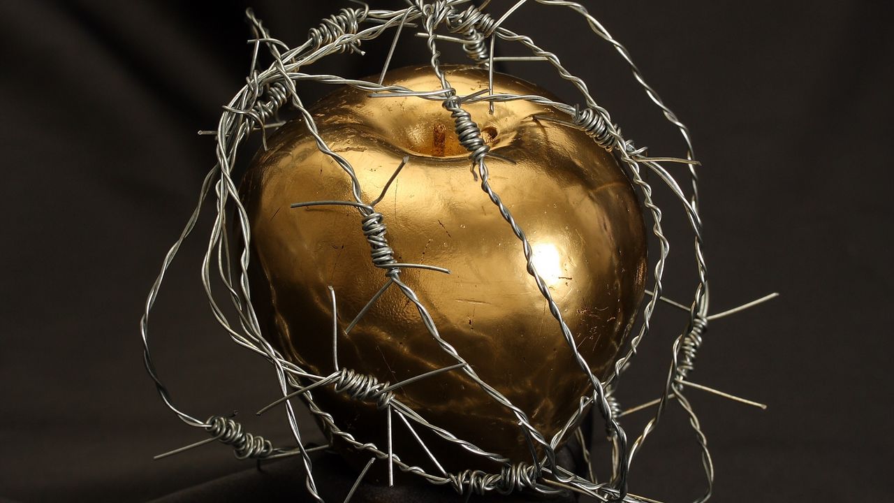Wallpaper apple, barbed wire, drops, gold