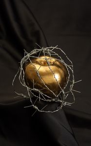 Preview wallpaper apple, barbed wire, drops, gold