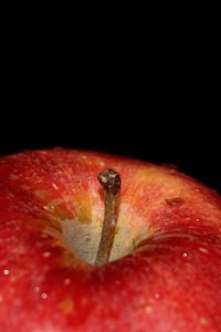 Preview wallpaper apple, drops, macro