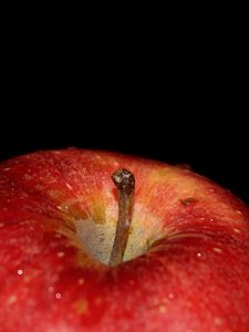 Preview wallpaper apple, drops, macro