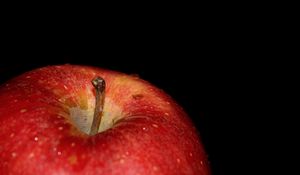 Preview wallpaper apple, drops, macro