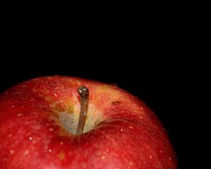 Preview wallpaper apple, drops, macro