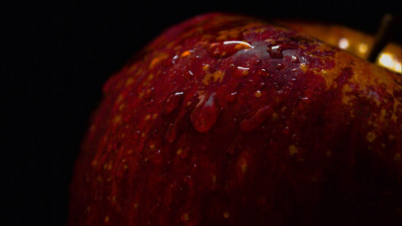 Wallpaper apple, drops, water, macro