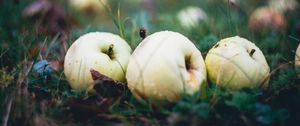 Preview wallpaper apple, fruit, drops, grass