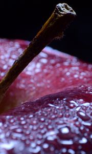 Preview wallpaper apple, fruit, drops, water, macro