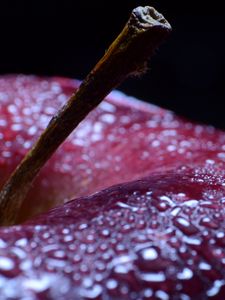 Preview wallpaper apple, fruit, drops, water, macro