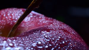 Preview wallpaper apple, fruit, drops, water, macro