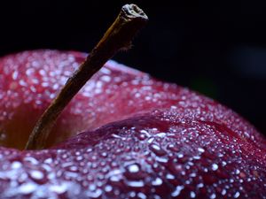 Preview wallpaper apple, fruit, drops, water, macro