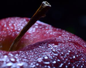 Preview wallpaper apple, fruit, drops, water, macro