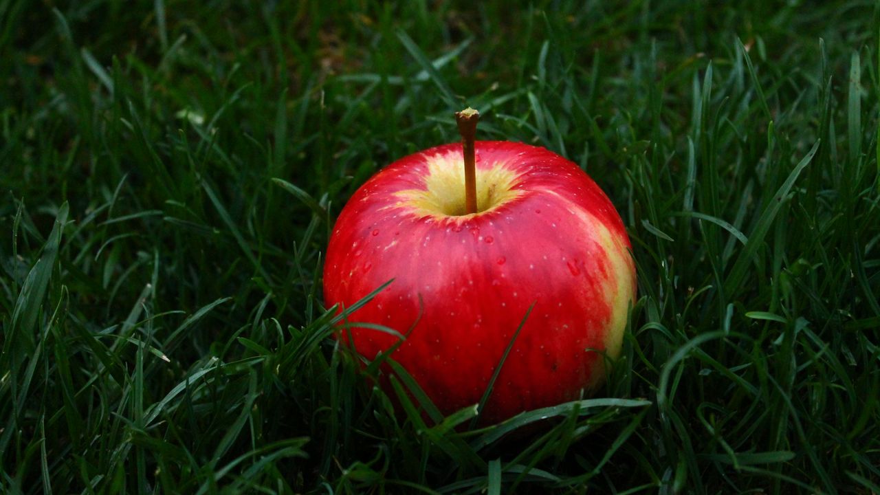 Wallpaper apple, fruit, grass