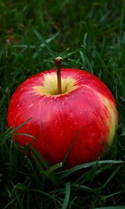 Preview wallpaper apple, fruit, grass