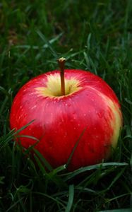 Preview wallpaper apple, fruit, grass