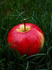 Preview wallpaper apple, fruit, grass