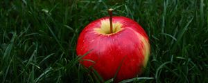 Preview wallpaper apple, fruit, grass