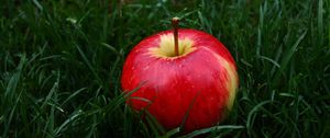 Preview wallpaper apple, fruit, grass