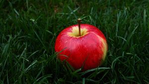 Preview wallpaper apple, fruit, grass