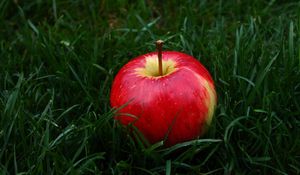 Preview wallpaper apple, fruit, grass