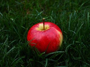 Preview wallpaper apple, fruit, grass