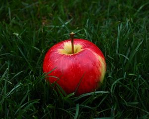 Preview wallpaper apple, fruit, grass