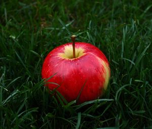 Preview wallpaper apple, fruit, grass