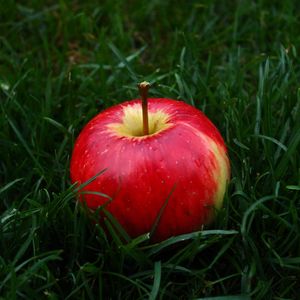 Preview wallpaper apple, fruit, grass