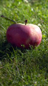 Preview wallpaper apple, fruit, grass, macro