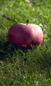 Preview wallpaper apple, fruit, grass, macro