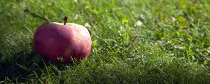 Preview wallpaper apple, fruit, grass, macro