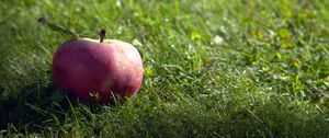 Preview wallpaper apple, fruit, grass, macro