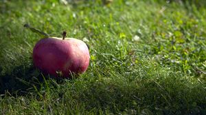 Preview wallpaper apple, fruit, grass, macro