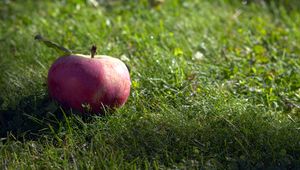 Preview wallpaper apple, fruit, grass, macro