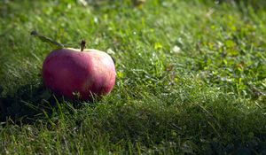 Preview wallpaper apple, fruit, grass, macro