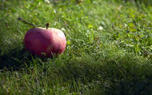 Preview wallpaper apple, fruit, grass, macro