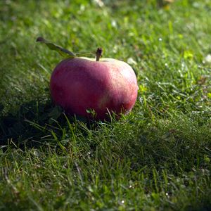 Preview wallpaper apple, fruit, grass, macro