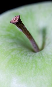 Preview wallpaper apple, fruit, green, macro