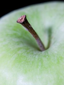 Preview wallpaper apple, fruit, green, macro