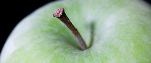 Preview wallpaper apple, fruit, green, macro